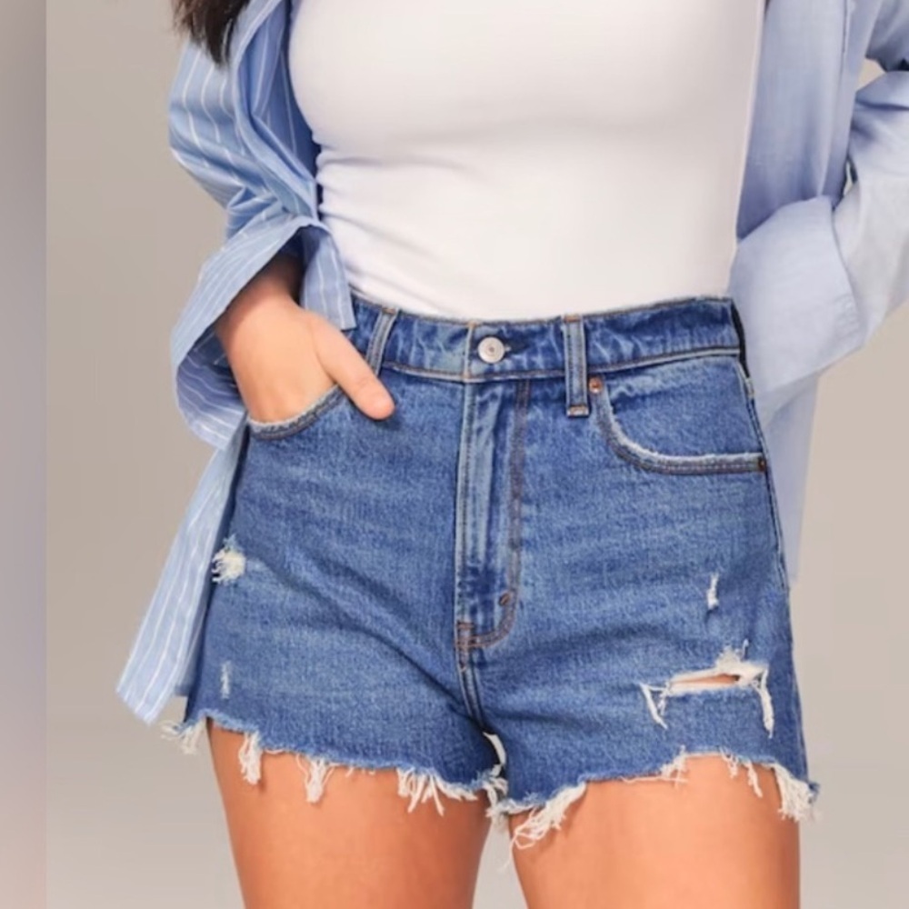 Abercrombie & Finch Curve Love The Mom Short High Rise 28/6 Distressed Stretch